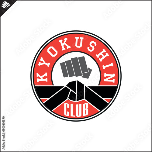 Martial art colored symbol, logo creative design emblem.