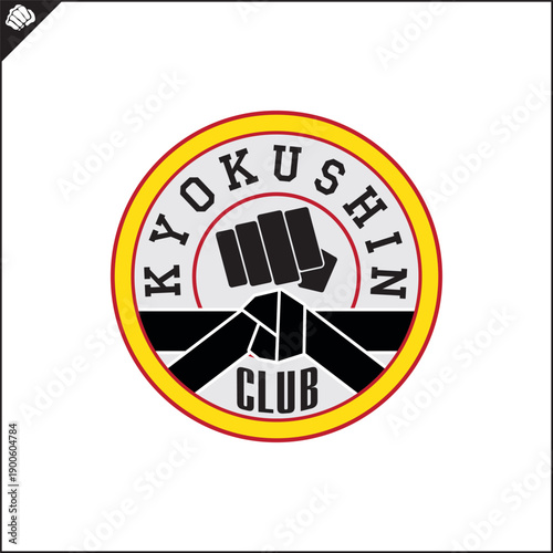Martial art colored symbol, logo creative design emblem.
