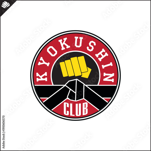 Martial art colored symbol, logo creative design emblem.