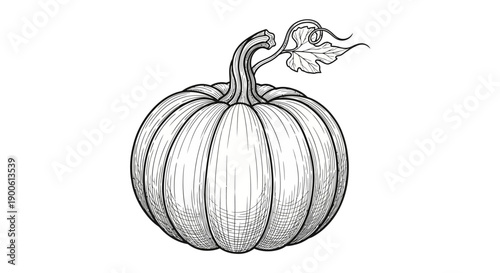 A detailed black and white sketch of a ripe pumpkin with a stem and a small leaf.