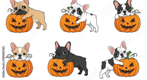 Six adorable French Bulldog puppies in various colors posing with carved Halloween pumpkins, perfect for festive designs.