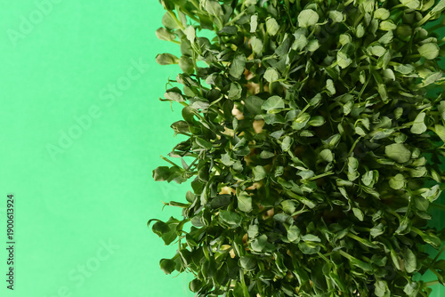 Fresh micro green on color background, closeup