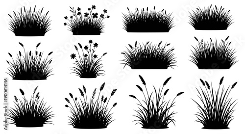 A collection of twelve black and white silhouette illustrations of various types of ornamental grasses and reeds, presented against a white background.