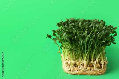 Fresh peas micro green on color background