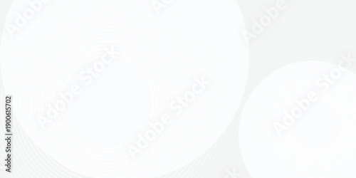 White geometric abstract background overlap layer on bright space with lines effect decoration. Modern graphic design element circles style concept for banner, modern vector arts