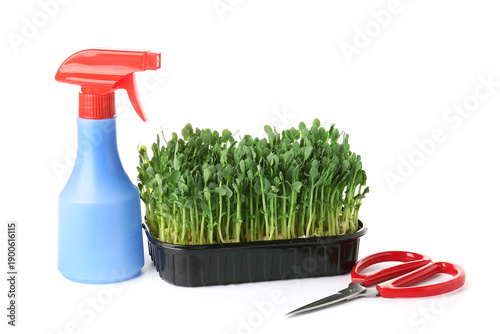 Plastic container with fres...