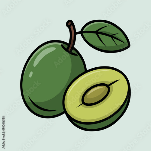 Kakadu Plum Vector Illustration of Fresh Gubinge Fruit and Half with Seed in Flat Design