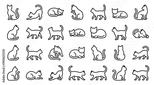 Set of various cat poses and actions in a simple line art style.