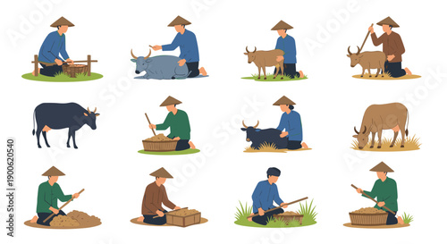 Asian farmers with water buffaloes performing various agricultural tasks