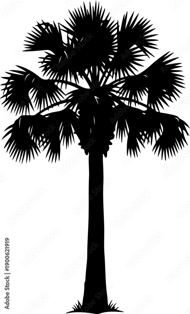 Foto Palmetto Tree silhouette vector illustration