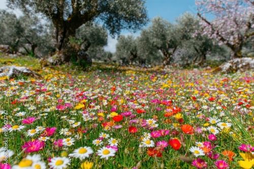 Wallpaper Mural Blooming Wildflower Meadow with Chamomile and Colorful Daisies in Sunny Spring Glade, Idyllic Nature Landscape for Seasonal Branding and Floral Wallpaper Background Torontodigital.ca