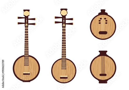 Traditional Chinese Musical Instruments A Collection of Stringed Lutes