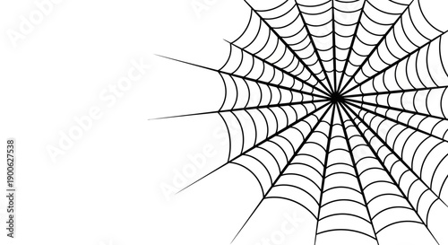 A detailed black and white illustration of a spider web with intricate radial and spiral patterns against a plain white background.