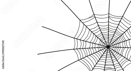 A detailed black and white illustration of a spider web with radial and spiral threads.