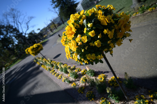 宮交ボタニックガーデン青島