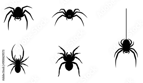 Vector set of spider