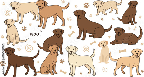 Cute dog character set with various breeds and poses, playful puppy illustrations with paw prints and bones, adorable cartoon flat vector design for pet lovers