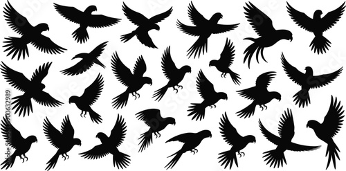 Flying bird silhouettes set, black avian wing spread poses collection, wildlife motion illustration, minimal vector design, isolated on white background