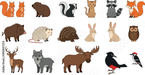 Forest and woodland animals illustration set with squirrel, bear, moose, fox and birds in colorful flat vector cartoon style for nature design
