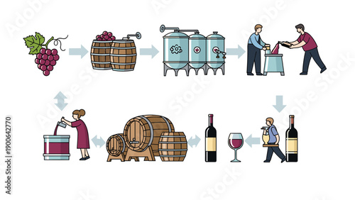 Detailed flowchart illustrating the traditional wine production process, from grape harvesting and fermentation to aging and final bottling.