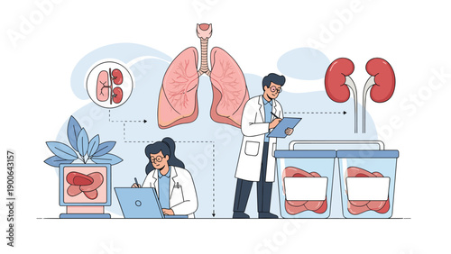 Dedicated doctors meticulously examine human organs, specifically lungs and kidneys, in a sterile medical laboratory setting for transplant and research purposes.