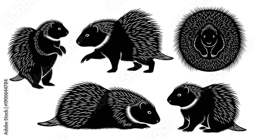 Vector silhouette illustration of porcupines (landak) in various poses, including standing, walking, curled defensive posture, and resting