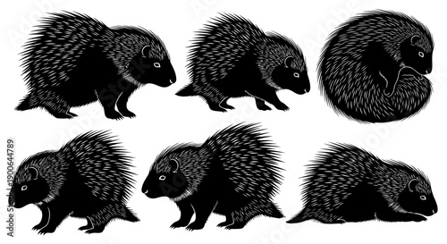 Vector silhouette illustration of porcupines (landak) in various poses, including standing, walking, curled defensive posture, and resting