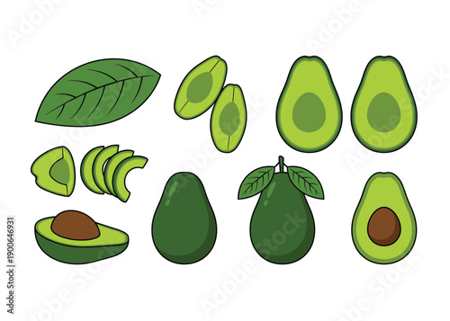 Avocado fruit set with whole halves slices and leaves vector for healthy diet illustration
