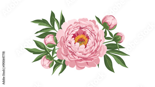 Stunning illustration of a vibrant pink peony in full bloom, beautifully encircled by delicate green leaves and unopened buds, highlighting its natural elegance on white.