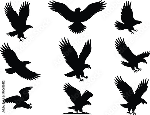 Eagle silhouette collection, flying landing attacking poses, majestic bird of prey vector set isolated on white background, wildlife illustration