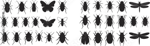 Insect silhouette collection, beetles butterflies flies bees and dragonflies, black entomology vector set isolated on white background, wildlife design
