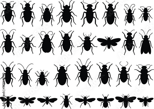 Insect silhouette mega set, beetles ants flies bees and bugs, black entomology vector collection isolated on white background, nature design