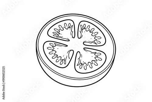 Black and white line drawing of tomato slice with seeds