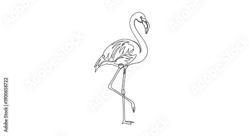 Elegant flamingo line art illustration, tropical bird drawing on white background.