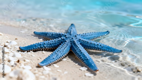 BlueStarfishOnBeach