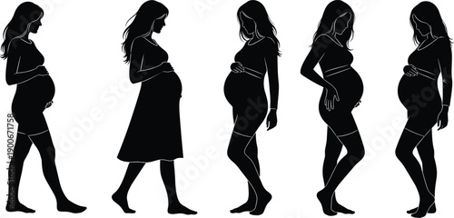 Pregnant woman silhouette set showing maternity poses pregnancy motherhood isolated on white background female body vector illustration collectionPregnant woman silhouette set showin