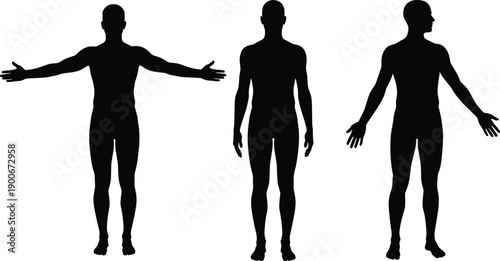 Male human body silhouette set showing front side T pose anatomy reference isolated on white background vector illustration designMale human body silhouette set showing front side T pose 
