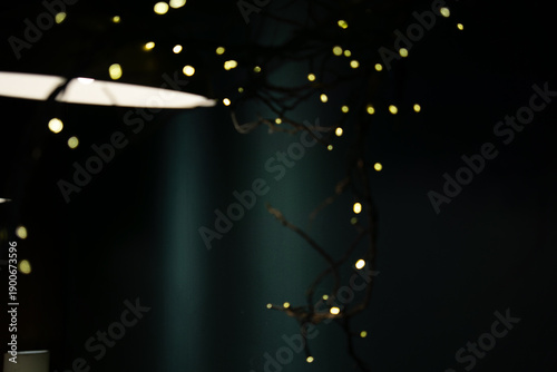 A dimly lit scene featuring out-of-focus fairy lights wrapped around branches against a dark background with a faintly visible lampshade