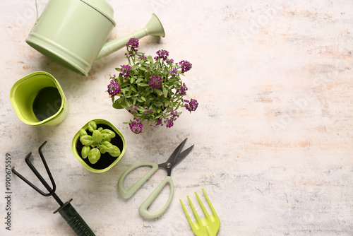 Pots with seedling, flowers...