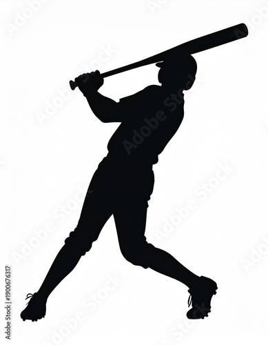 baseball player silhouette. Baseball batter   MLB