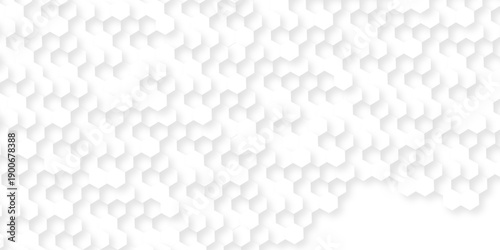 Abstract hexagon polygonal pattern background vector. Hexagonal grid tile and mosaic structure mess cell. Abstract hexagon Seamless background. Background with hexagons. Abstract background with lines