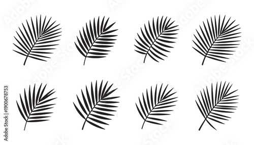 Eight black palm leaves in various styles and orientations on a white background, perfect for tropical themes.