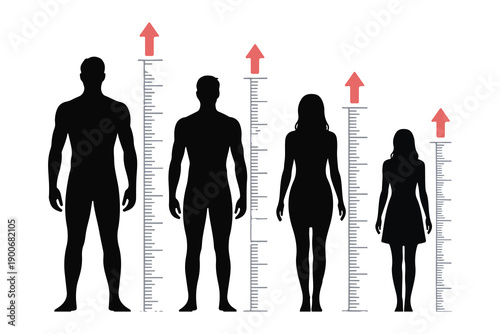 Family growth chart with people silhouettes, measuring height with red arrows showing increase