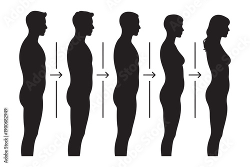 Transgender transition silhouette sequence showing gradual change from male to female body profile