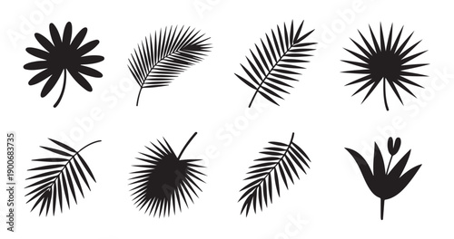 Set of black tropical palm leaves and exotic flower silhouettes isolated on white background