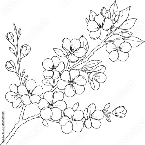 Minimal Cherry Blossom Branch Line Art, Sakura Outline Floral Illustration