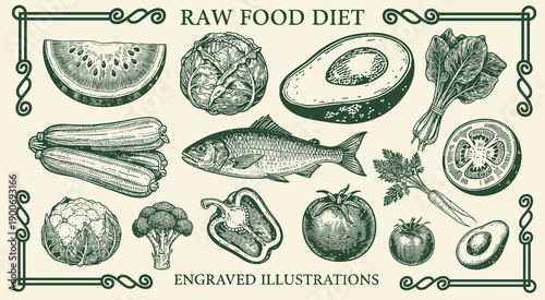 Engraved illustrations showcase variety of fresh vegetables and fruits highlighting the beauty of raw food diet concepts 