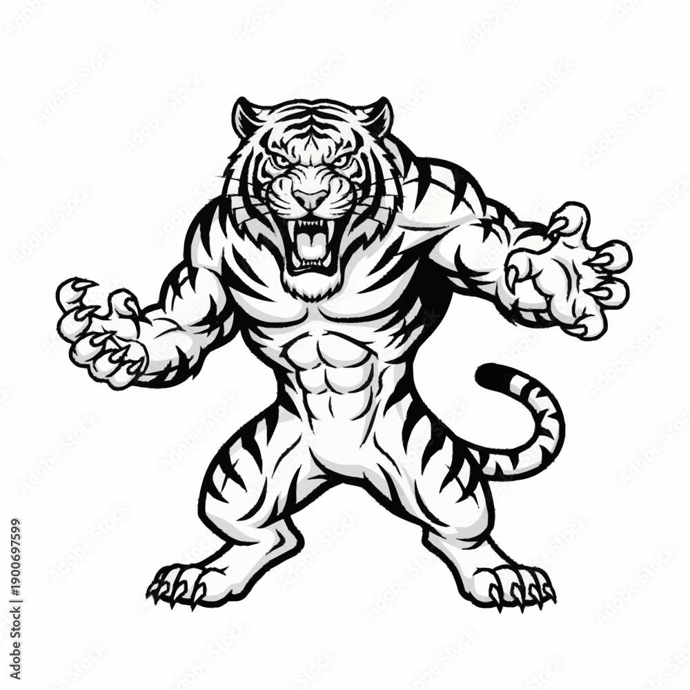 Fototapeta premium A fierce and muscular tiger mascot roaring with claws extended, in black and white illustration style.