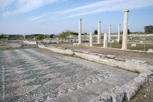 Photography Pella archaeological site displaying ancient mosaic and doric columns