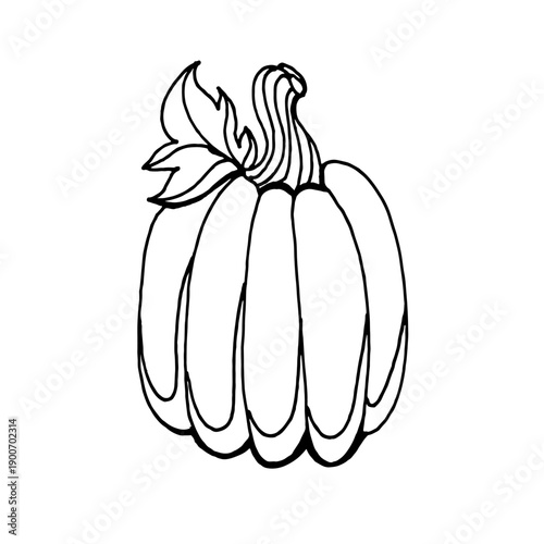 Clean, black and white ink illustration of a tall pumpkin with a single leaf. This minimalist line art design is perfect for modern autumn decor, simple coloring pages, and seasonal graphic icons.